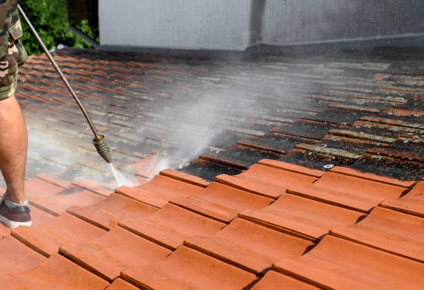 Pressure Washing Brick